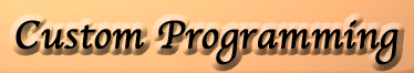 Custom Programming